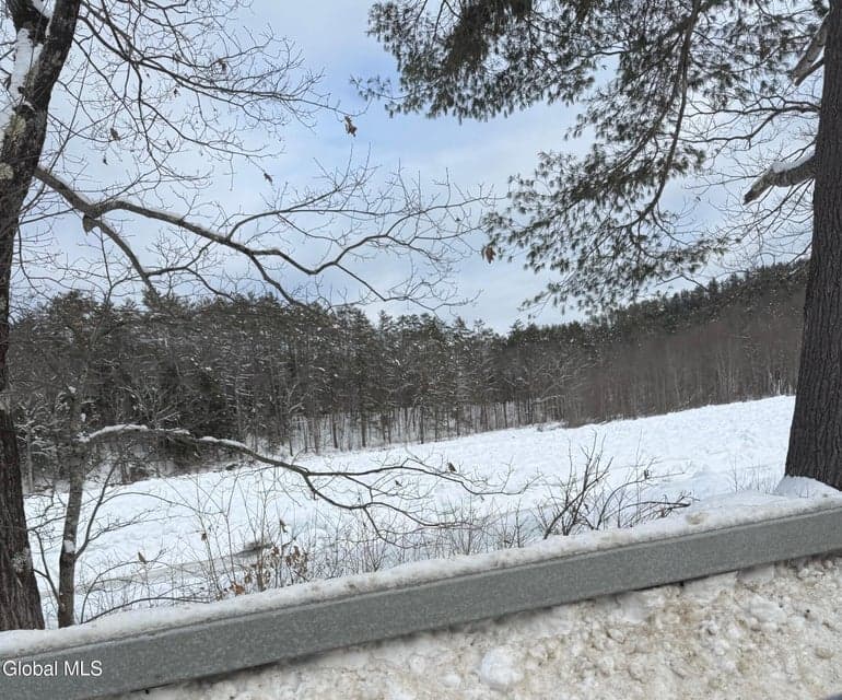 L19 River Road, Thurman, NY, photo 4