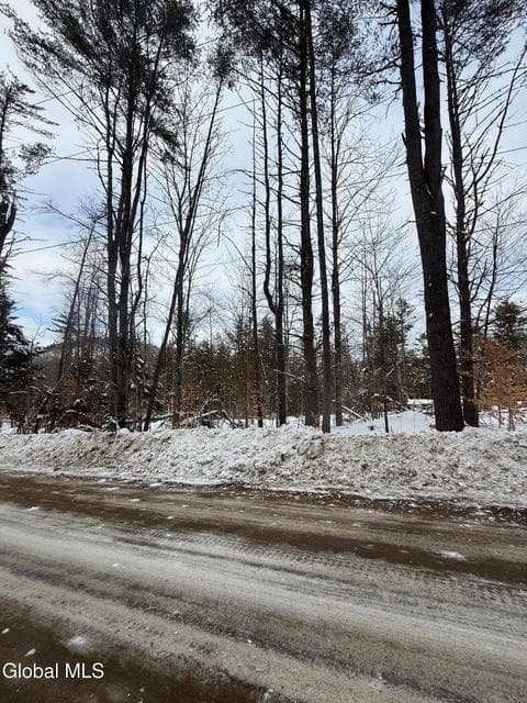 L19 River Road, Thurman, NY, photo 5