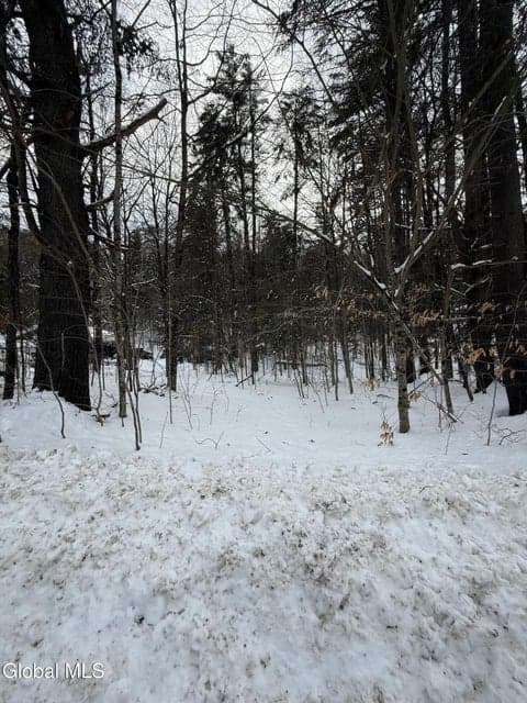 L19 River Road, Thurman, NY, photo 3