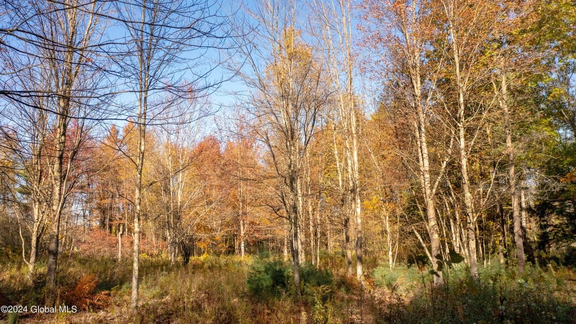 L122 Dimmick Road, photo 4