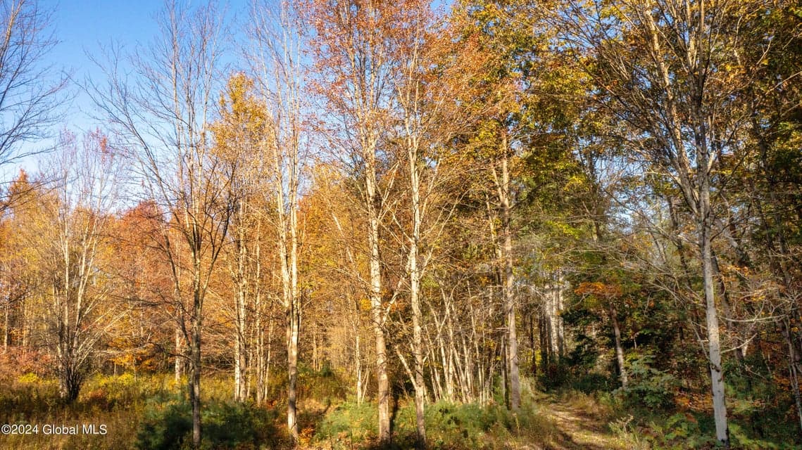 L122 Dimmick Road, photo 5