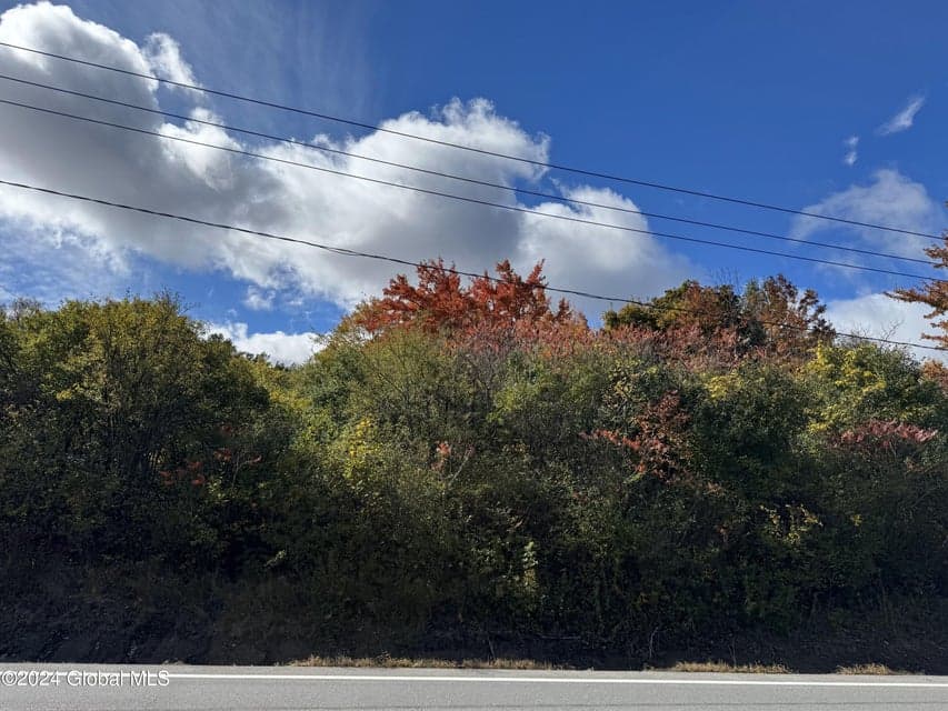 929 Sacandaga Road, photo 1