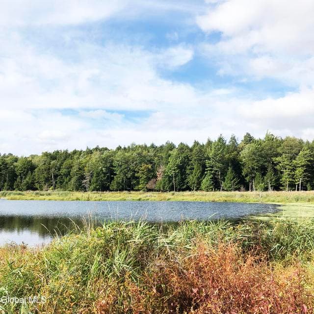 631 Brooker Hollow Road, photo 4