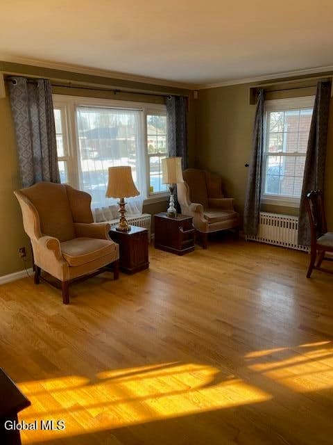 177 Hollywood Avenue, Albany, NY, photo 4
