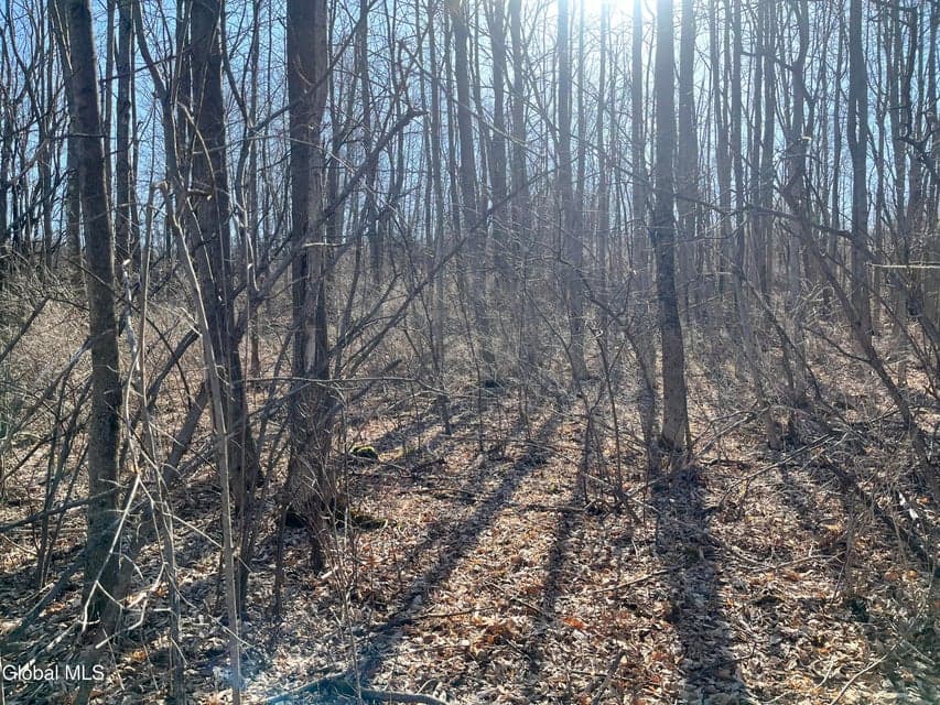 0 Cross Hill Road, Richmondville, NY, photo 3