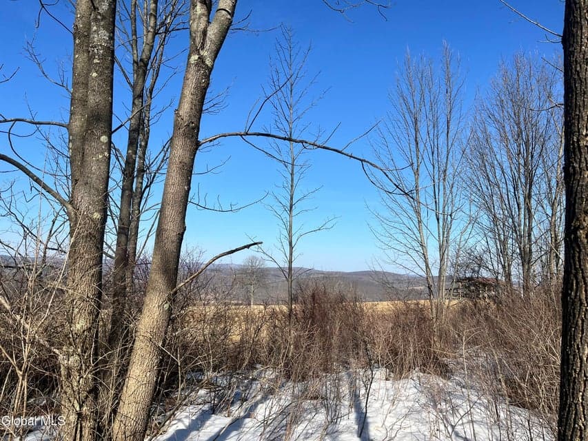 0 Cross Hill Road, Richmondville, NY, photo 2