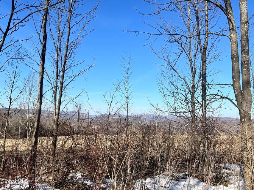 0 Cross Hill Road, Richmondville, NY, photo 1