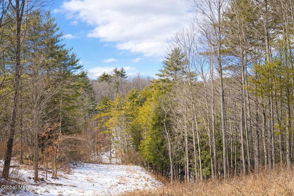 1085 Krumkill Road, photo 4
