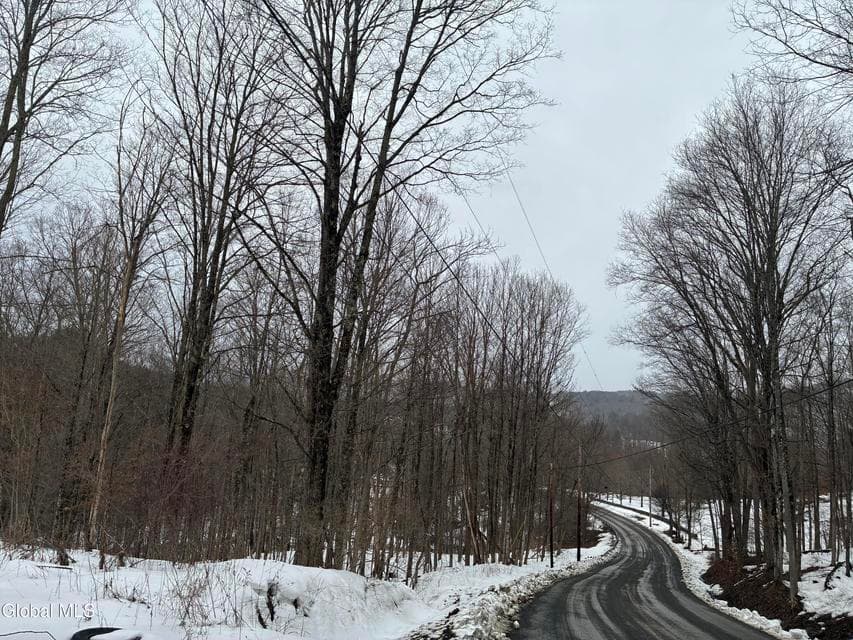 38 Hill Hollow Rd Road, photo 4
