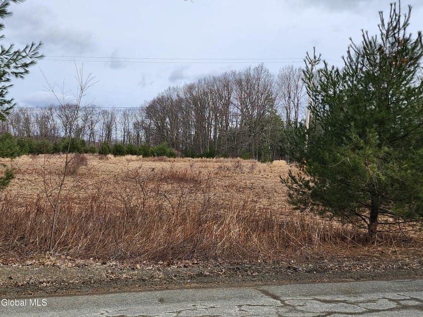 L 23.2 Lynn Road, Poestenkill, NY, photo 1