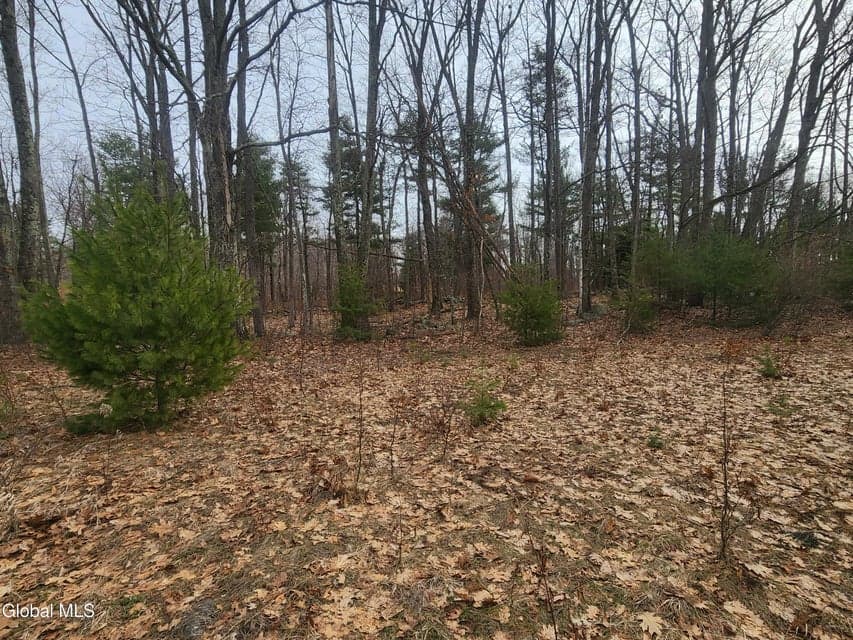 L 23.3 Lynn Road, Poestenkill, NY, photo 3