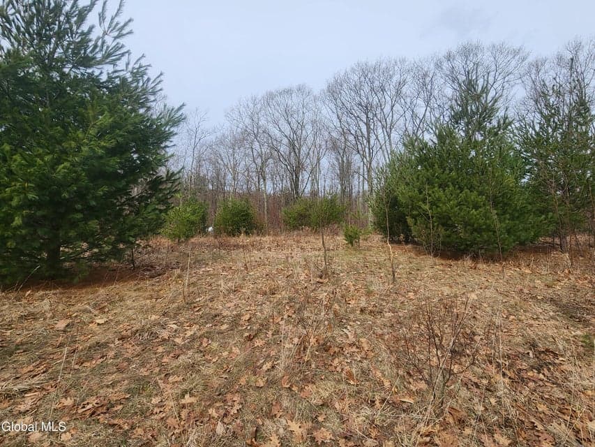 L 23.3 Lynn Road, Poestenkill, NY, photo 4