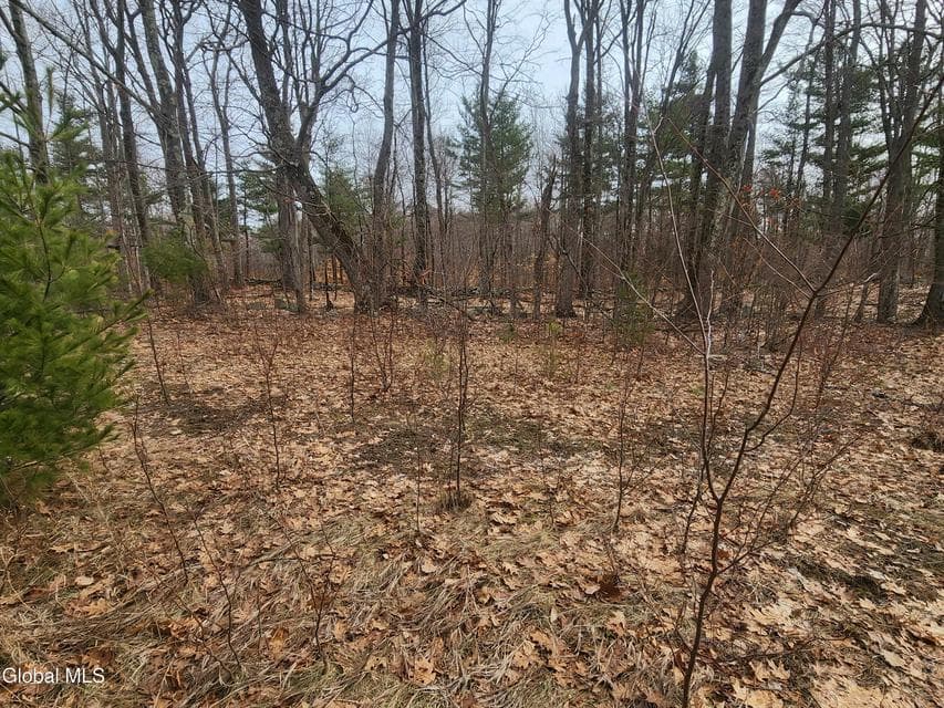 L 23.3 Lynn Road, Poestenkill, NY, photo 5
