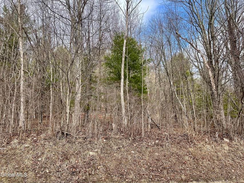 L4.22 Sagendorf Road, photo 3