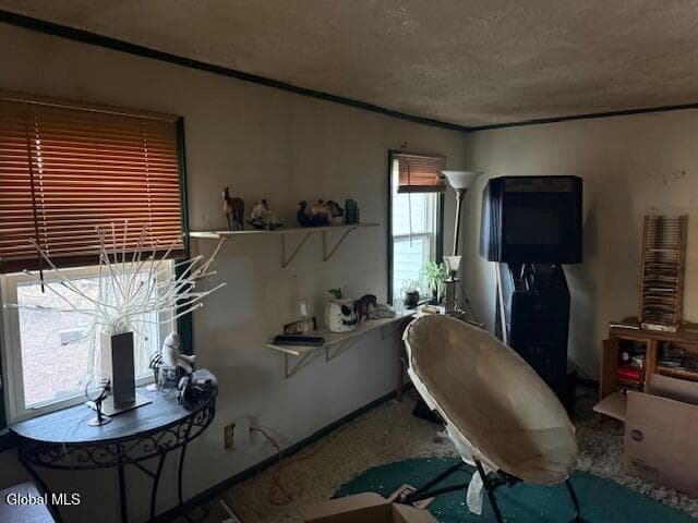 34 Tabor Road, photo 3