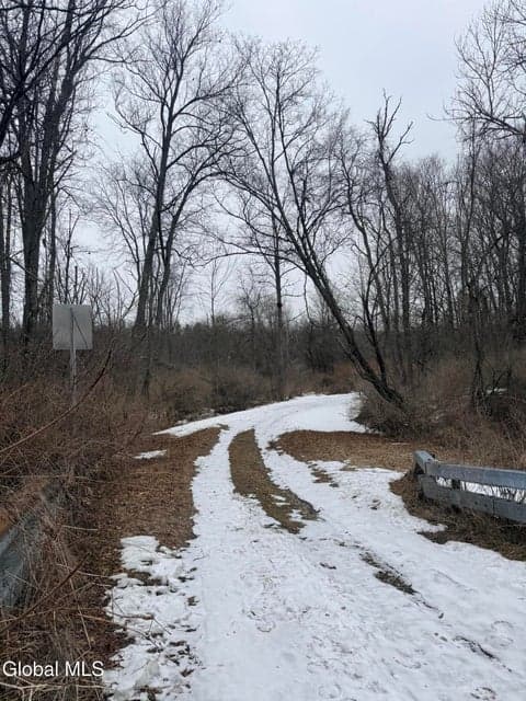 L16 Old Rte 29, Broadalbin, NY, photo 5