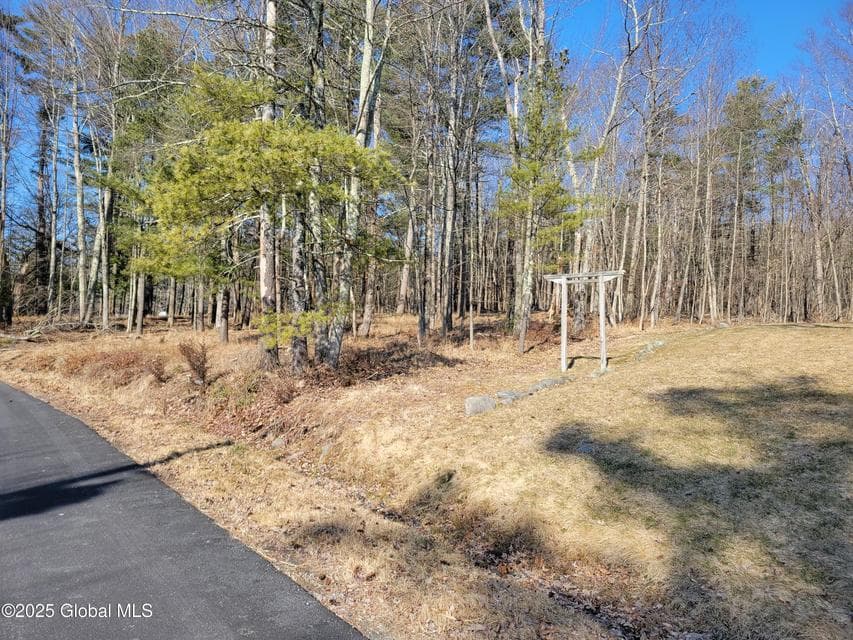 56 Blue Heron Drive Drive, photo 2