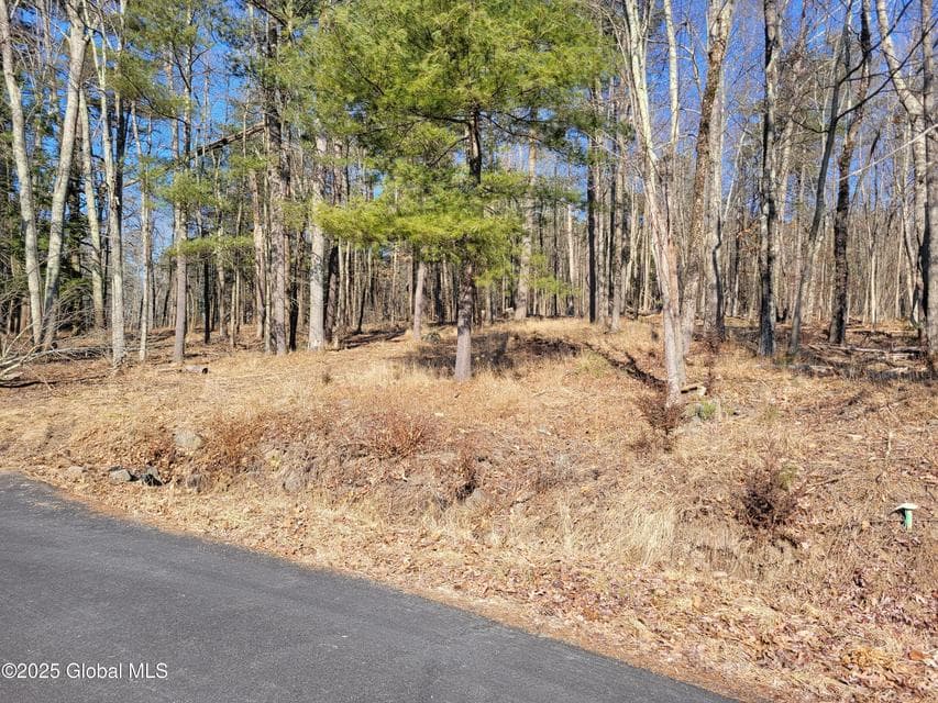 56 Blue Heron Drive Drive, photo 3