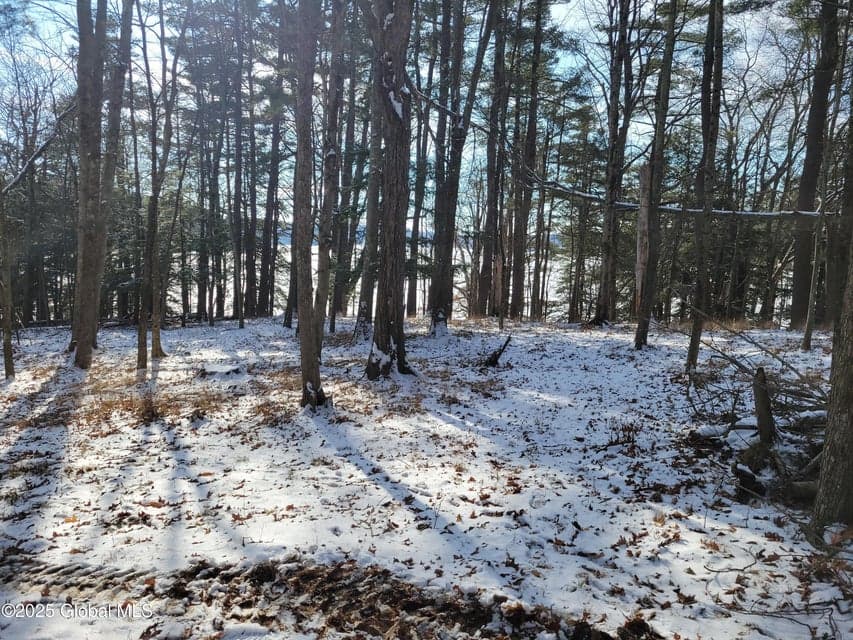 56 Blue Heron Drive Drive, photo 4