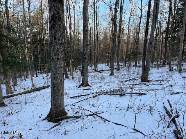 L29 Mountain Crest Road, photo 5