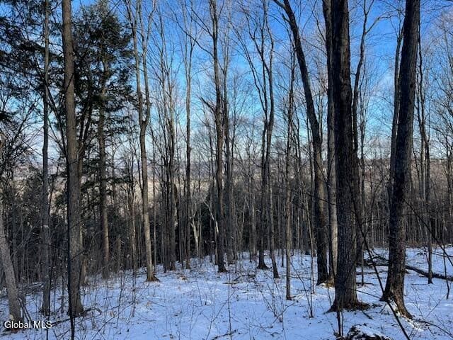 L29 Mountain Crest Road, photo 3