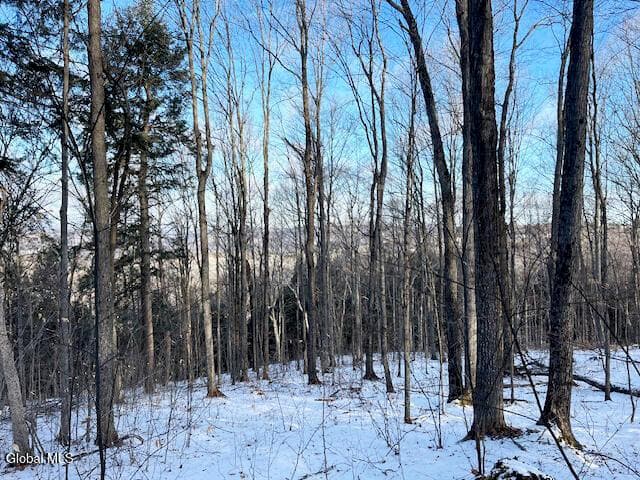 L29 Mountain Crest Road, photo 4