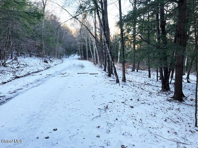 L29 Mountain Crest Road, photo 1
