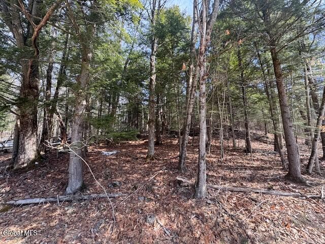 358 River Road, photo 2