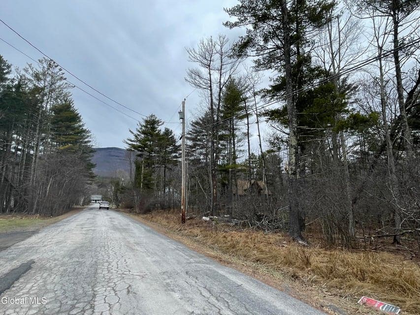 L40.000 Stone Mt Road, Cairo, NY, photo 3