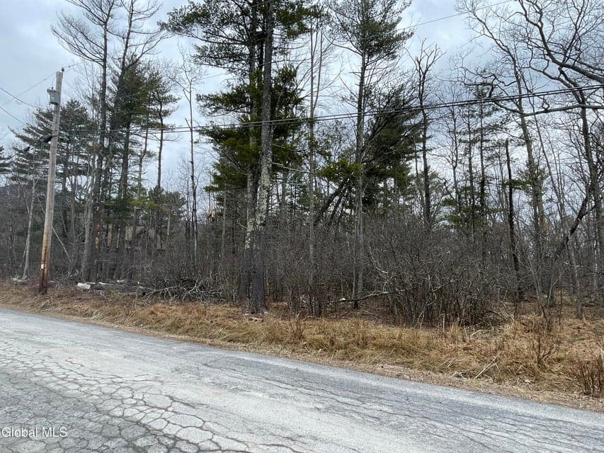 L40.000 Stone Mt Road, Cairo, NY, photo 1