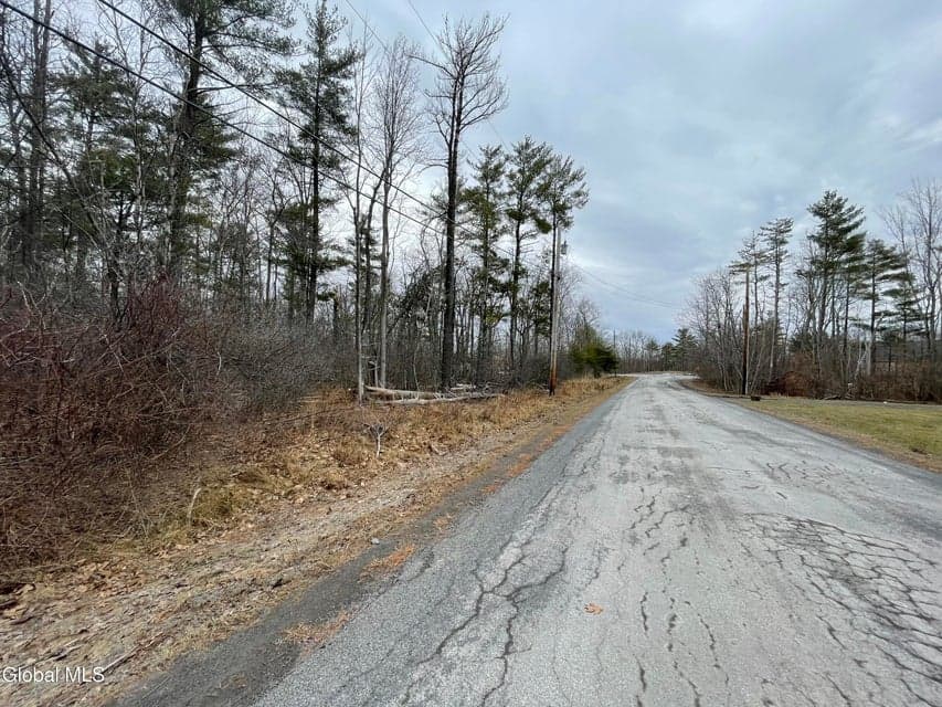 L40.000 Stone Mt Road, Cairo, NY, photo 4