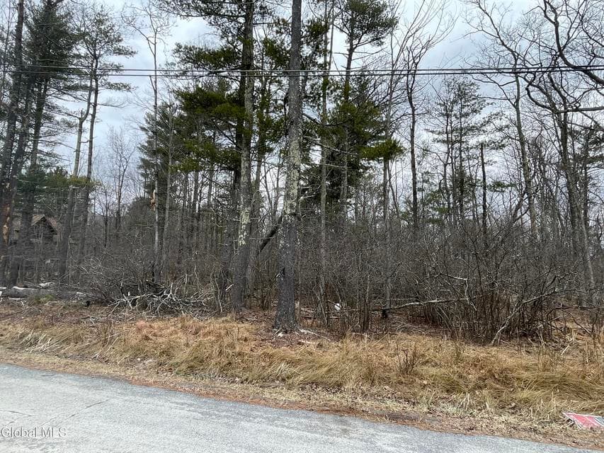 L40.000 Stone Mt Road, Cairo, NY, photo 2