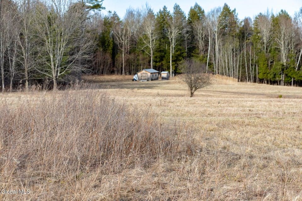 L21.111 Shenendoah Drive, photo 4