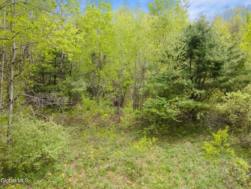 L11 Sternberg Road, photo 2