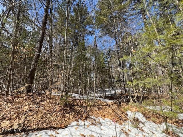 204 Mountain Path, photo 4