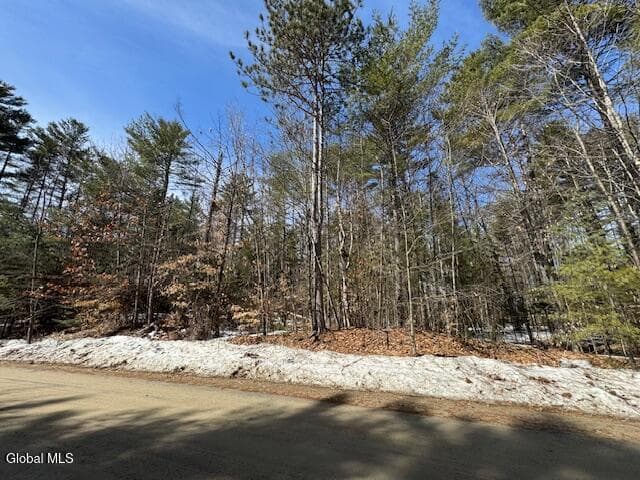 204 Mountain Path, photo 2