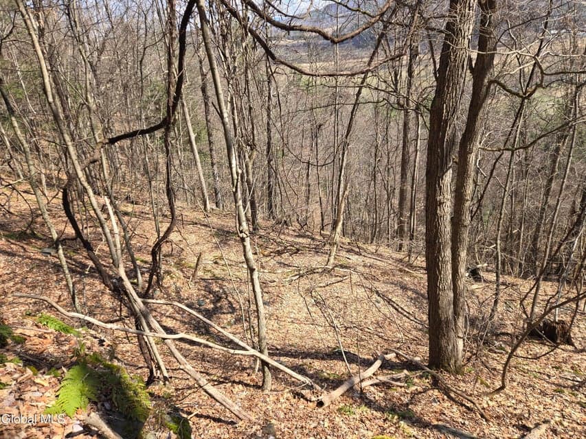 0 Ny 22, photo 4