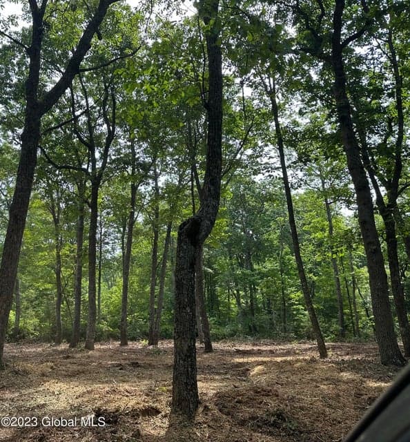 52 Totem Lodge Road, Nassau, NY, photo 2