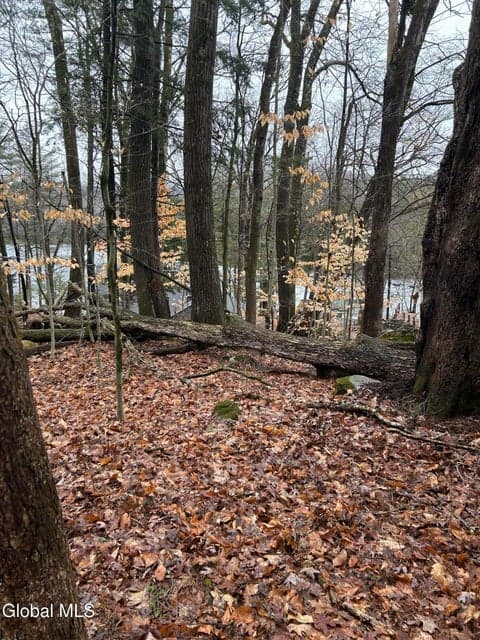 27 S Copeland Pond Way, photo 4