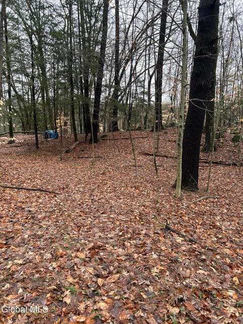 27 S Copeland Pond Way, photo 5