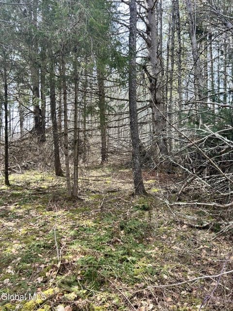 00 Weaver Dam Road, photo 1
