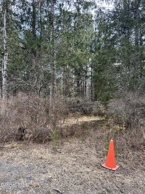 00 Weaver Dam Road, photo 5