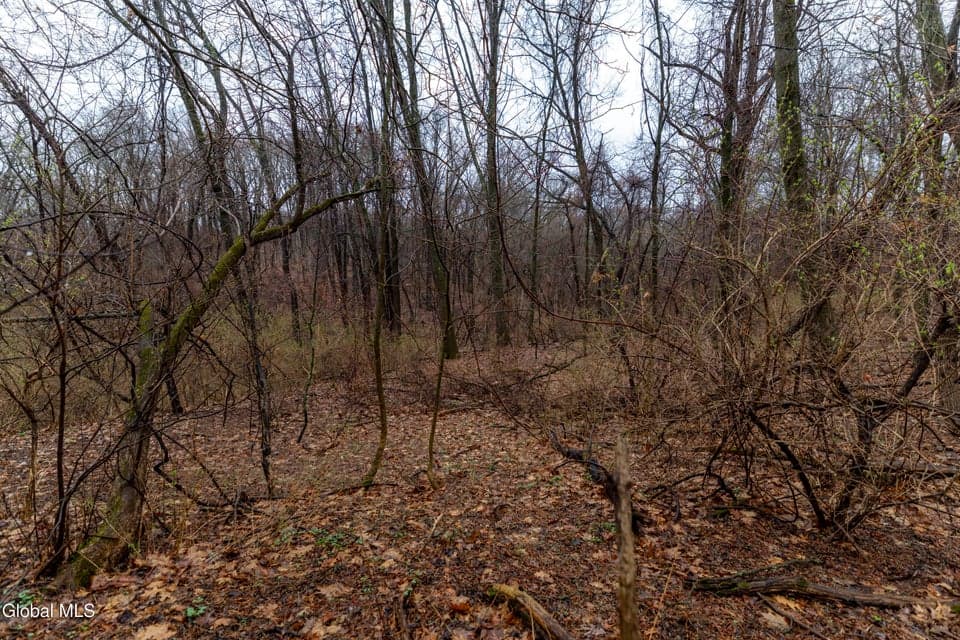 94 Briar Avenue, photo 3