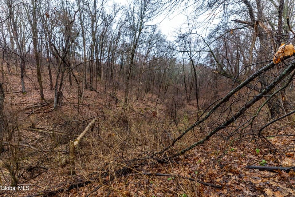 94 Briar Avenue, photo 4