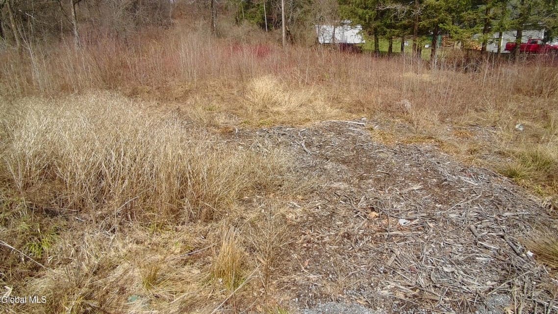 L-9 Hillside, photo 2