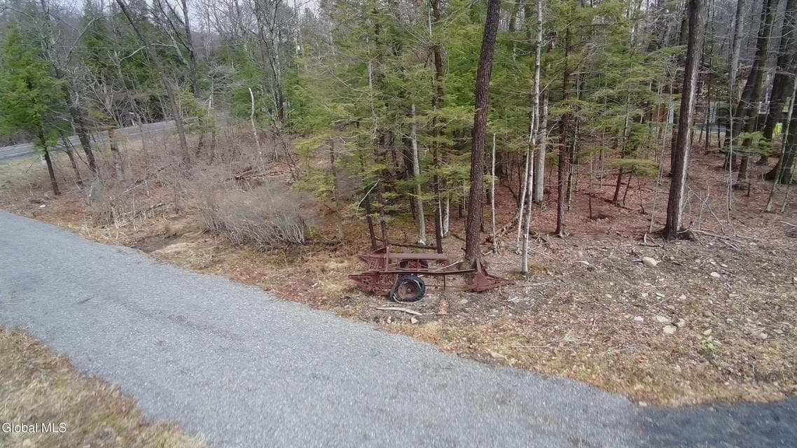 2943 Skyline Drive, photo 2