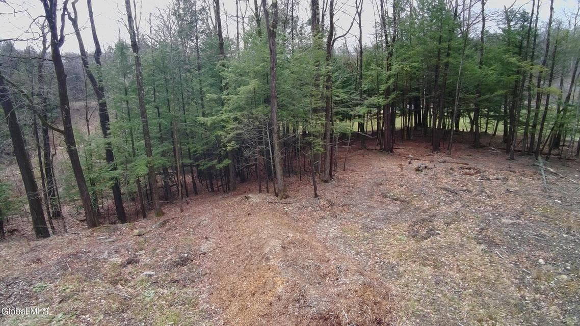 2943 Skyline Drive, photo 3
