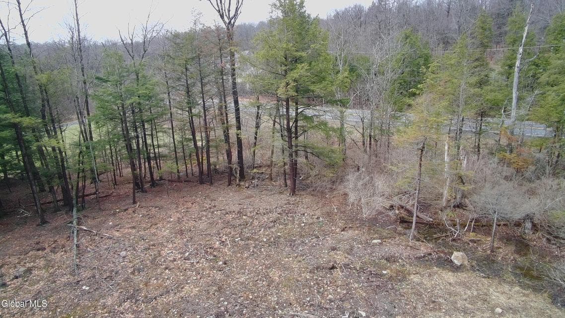 2943 Skyline Drive, photo 4