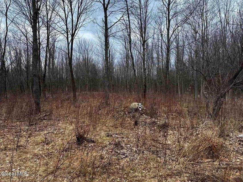 L11.4 Military Turnpike, photo 3