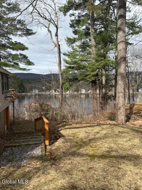 107 Harris Avenue, photo 2